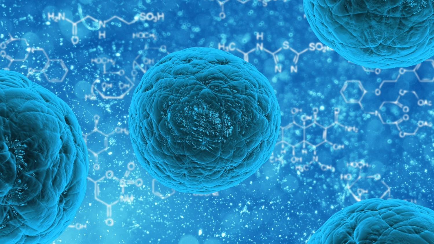 Stem Cell Research Advances