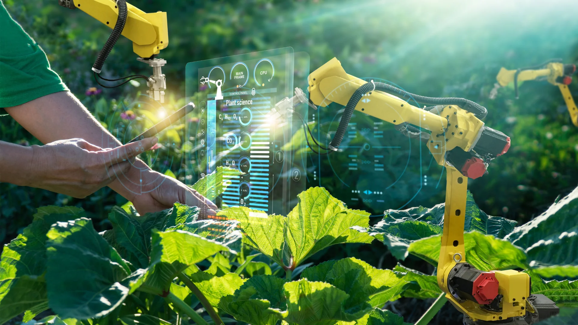 AI Revolutionizes Agriculture