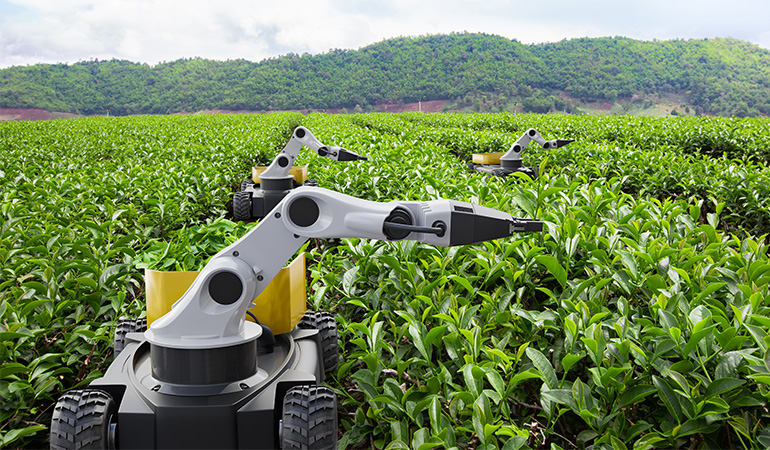 Farmers Turn to AI for Economic Relief